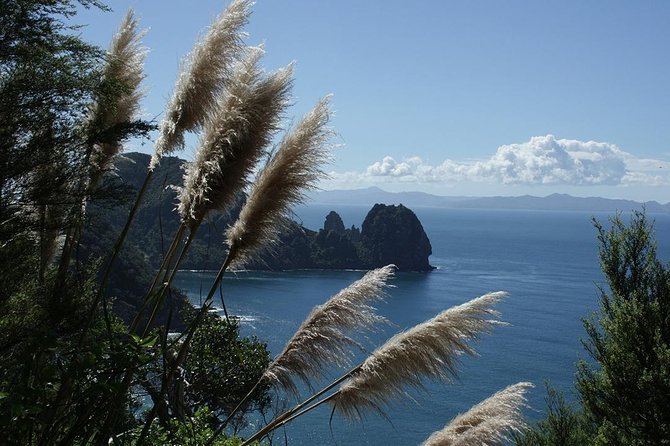 Bay of Islands 2-Day Small Group Tour & Cruise from Auckland - Otehei Bay on Urupukapuka Island