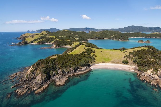 Bay of Islands 2-Day Small Group Tour & Cruise from Auckland - The Kauri Museum: a smart first stop
