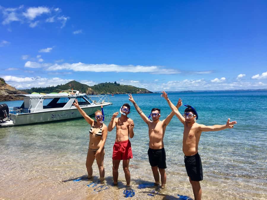 Bay of Islands: 4.5 Hour Day Cruise and Island Getaway Tour - Roberton Island and the Twin Lagoons lookout
