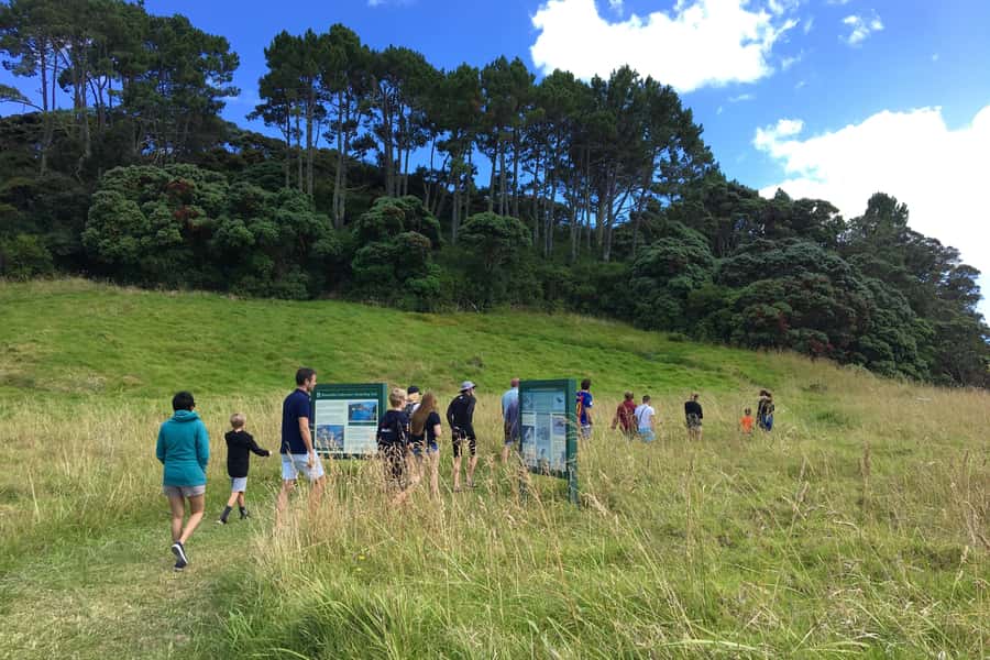 Bay of Islands: 4.5 Hour Day Cruise and Island Getaway Tour - What to bring, and what not to expect