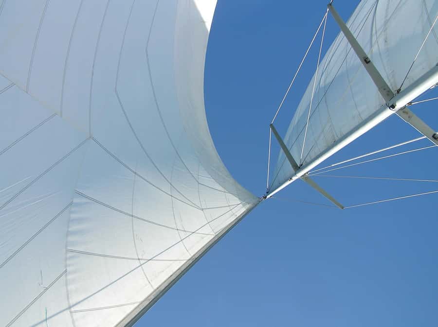 Bay of Islands: Awesome Day Sailing Tour with Island Stop - Key details before you book