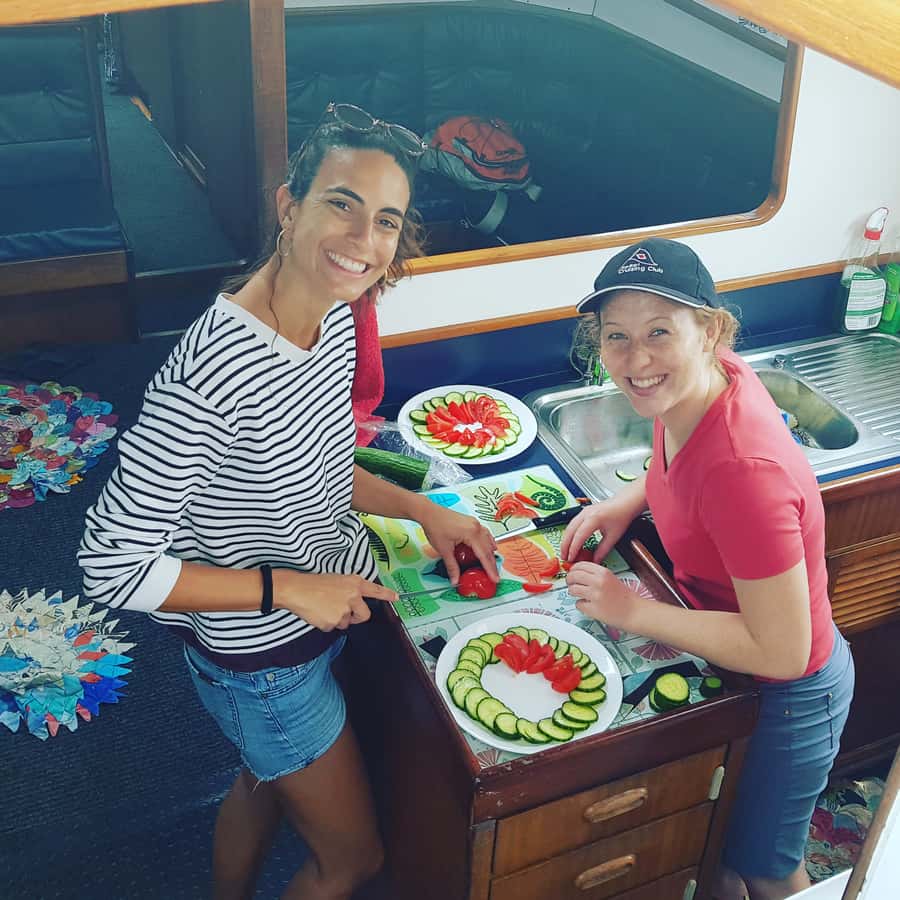 Bay of Islands: Awesome Day Sailing Tour with Island Stop - Practical tips for a smoother day