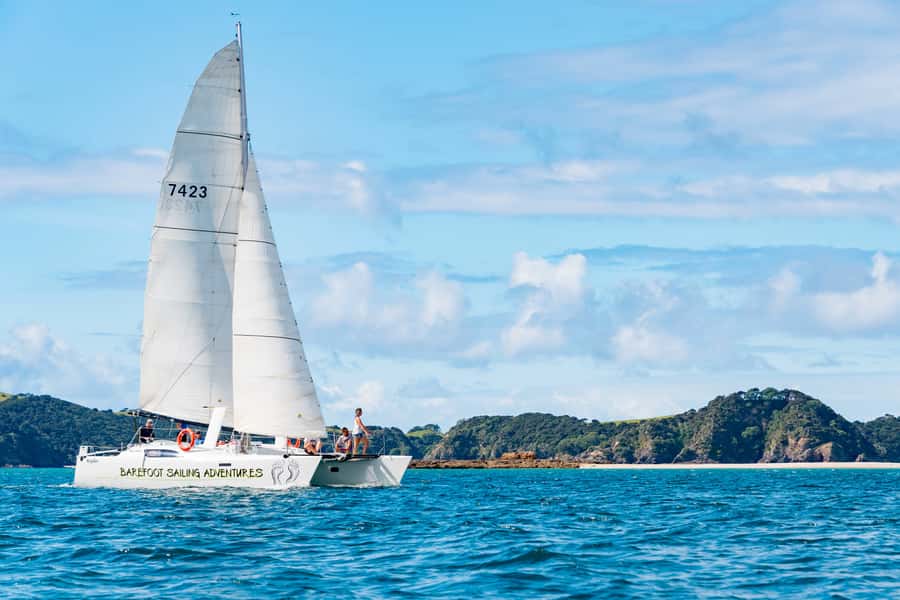 Bay of Islands: Catamaran Sail, Wildlife Island & Lunch - Key points at a glance