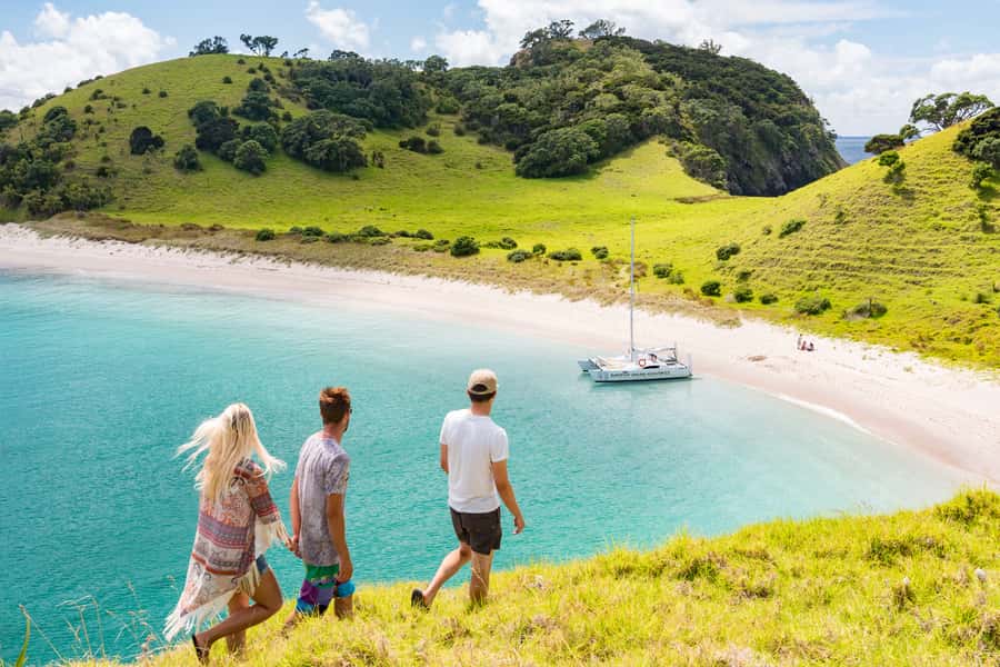 Bay of Islands: Catamaran Sail, Wildlife Island & Lunch - Setting off from Paihia Beach