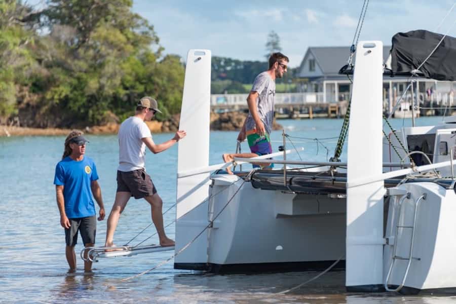 Bay of Islands: Catamaran Sail, Wildlife Island & Lunch - Wildlife watching from the deck