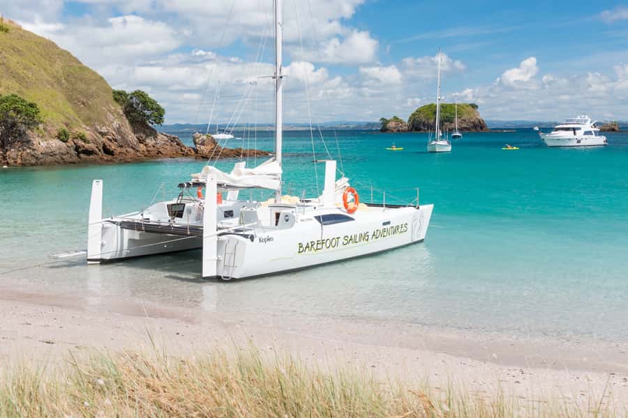 Bay of Islands: Catamaran Sail, Wildlife Island & Lunch - Snorkeling, paddleboarding, and swimming
