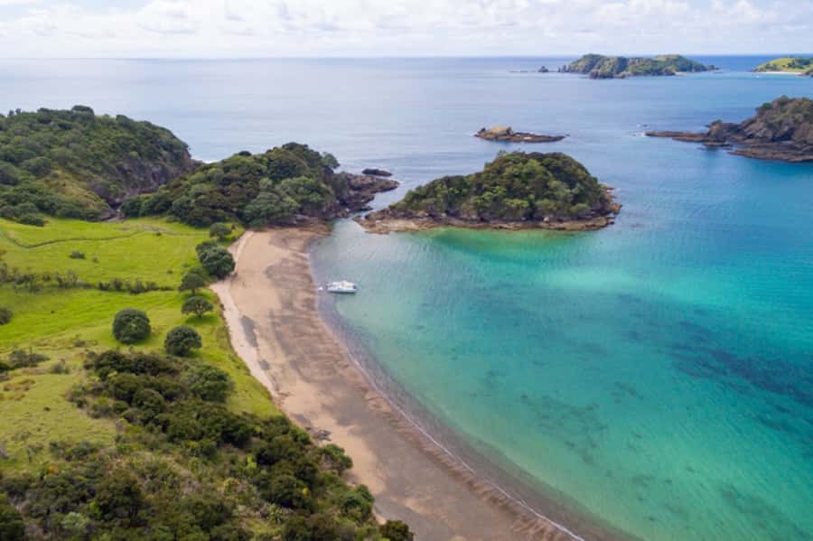 Bay of Islands: Catamaran Sail, Wildlife Island & Lunch - What the $134 price gets you