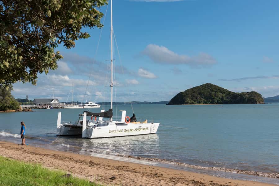 Bay of Islands: Catamaran Sail, Wildlife Island & Lunch - Four hours across the Bay of Islands