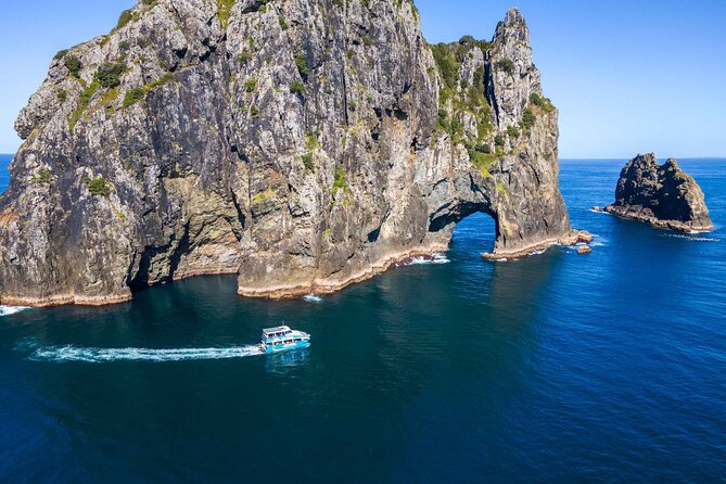 Bay of Islands Cruise & Island Tour - Snorkel, Hike,Swim,Wildlife - Key points at a glance