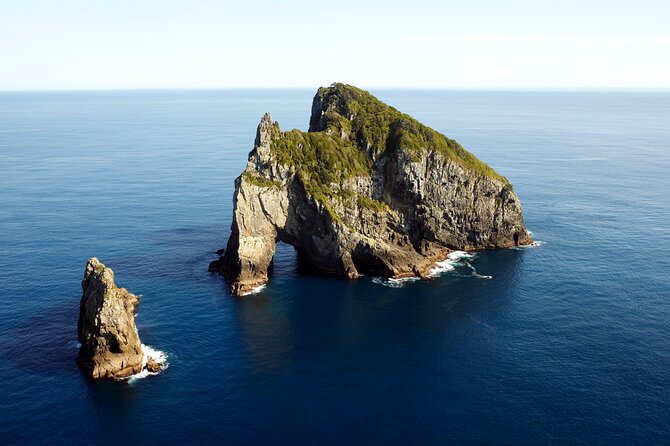 Bay of Islands Cruise & Island Tour - Snorkel, Hike,Swim,Wildlife - Why this four-and-a-half-hour cruise works