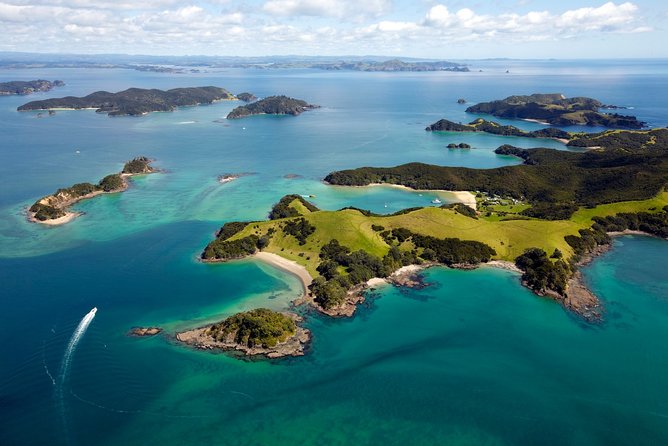 Bay of Islands Cruise & Island Tour - Snorkel, Hike,Swim,Wildlife - The Hole in the Rock and Cape Brett