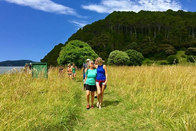 Bay of Islands Cruise & Island Tour - Snorkel, Hike,Swim,Wildlife - Is the boat ride comfortable?