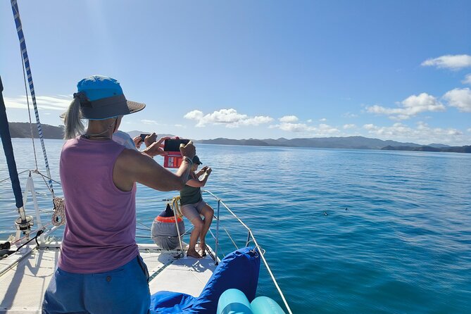 Bay of Islands: Day Sailing Cruise with Island Stop and Lunch - Who will enjoy this day most
