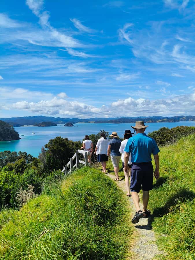 Bay of Islands: Day Sailing Cruise with Island Stop & Lunch - The island stop gives the day its shape