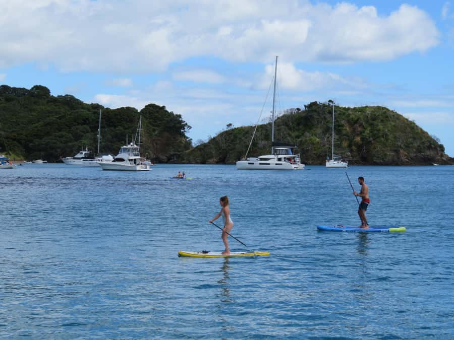 Bay of Islands: Day Sailing Cruise with Island Stop & Lunch - Lunch onboard, with useful dietary choices
