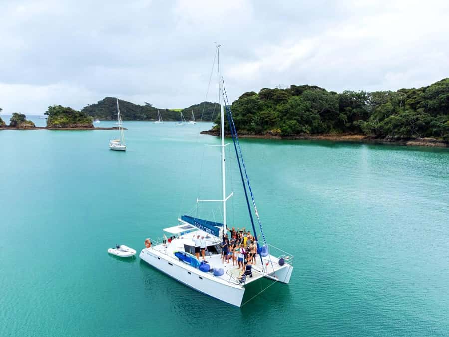 Bay of Islands: Day Sailing Cruise with Island Stop & Lunch - The return sail into Paihia