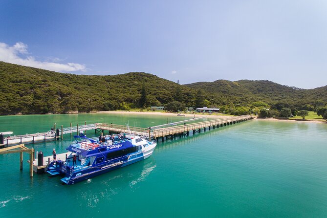 Bay of Islands Discovery Experience from Auckland incl. Hole In The Rock Cruise - Coffee, comfort stops, and the road north
