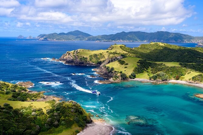 Bay of Islands Explorer Experience Small Group Tour From Auckland - Boarding the Bay of Islands cruise