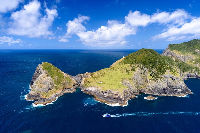 Bay of Islands Explorer Experience Small Group Tour From Auckland - The 1.5-hour stop at Urupukapuka Island
