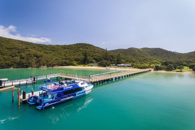 Bay of Islands Explorer Experience Small Group Tour From Auckland - Coffee and a break at La Nonna Italian Bakery