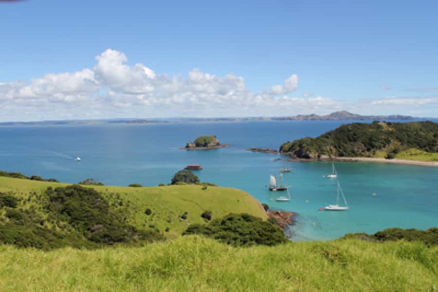 Bay of Islands: Full-Day Tall Ship Sailing Excursion - Anchoring at Motuarohia Island