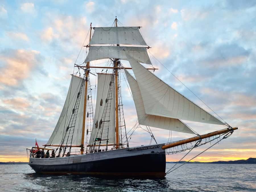 Bay of Islands: Late Afternoon Sailing Cruise - Key points to know before you book