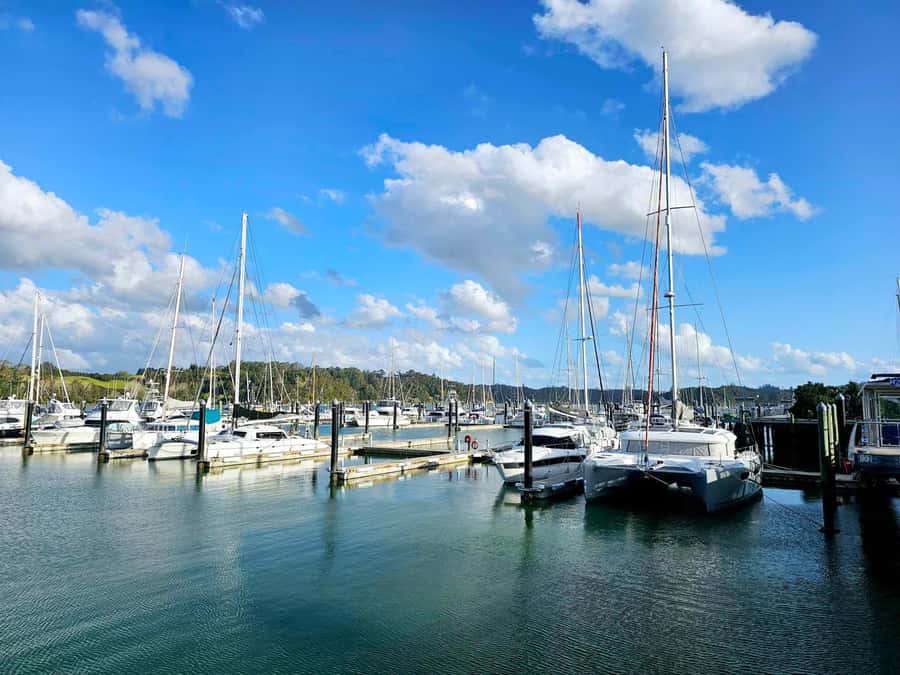 Bay of Islands - Mini Tour (75-90 mins) - Starting at Paihia Carpark