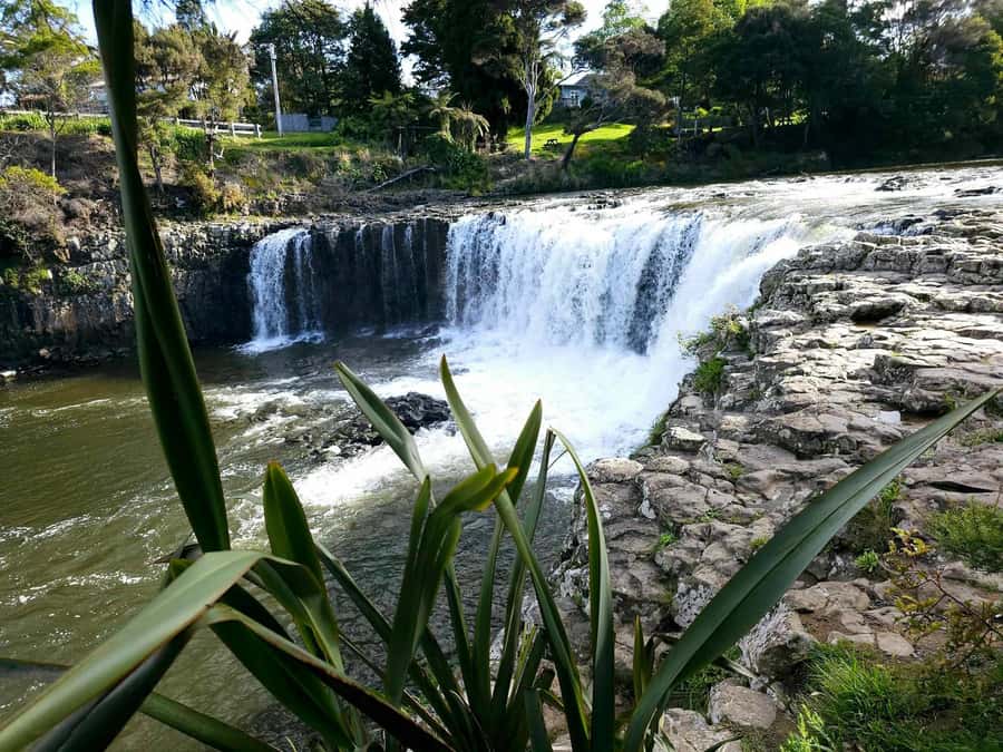 Bay of Islands - Mini Tour (75-90 mins) - Haruru Falls and the sound of moving water