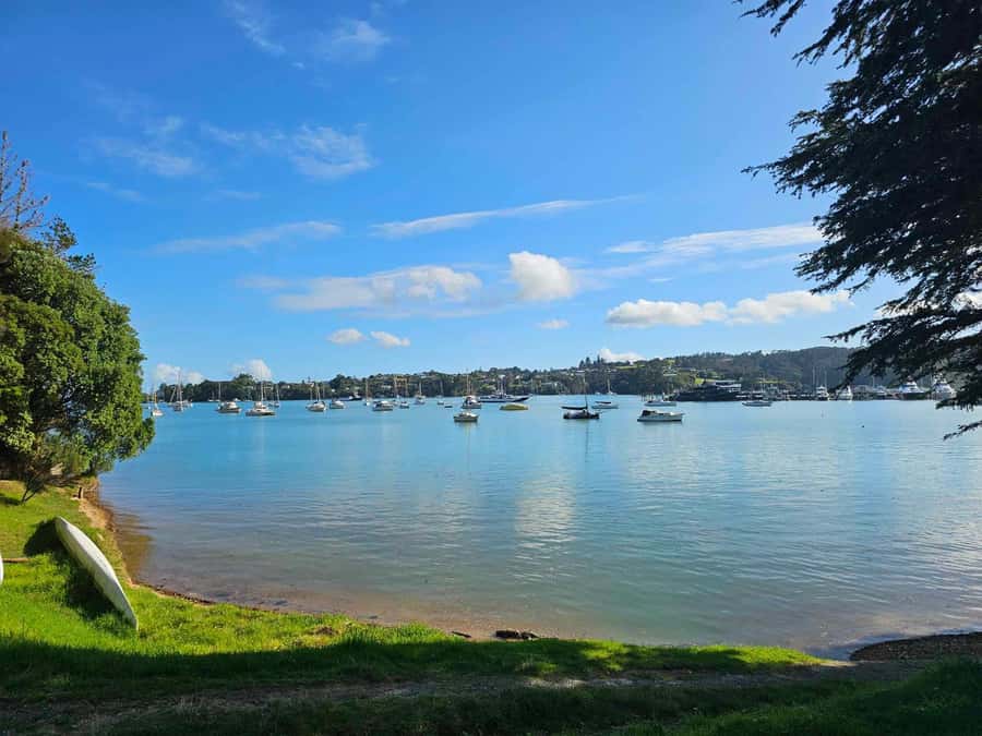 Bay of Islands - Mini Tour (75-90 mins) - The pace, van, and commentary