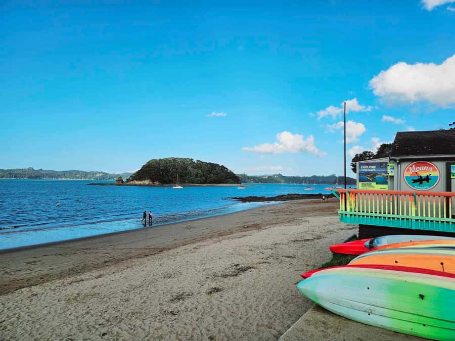 Bay of Islands - Mini Tour (75-90 mins) - Booking flexibility and practical planning