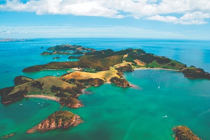 Bay of Islands Private Tour - The drive north with a private guide