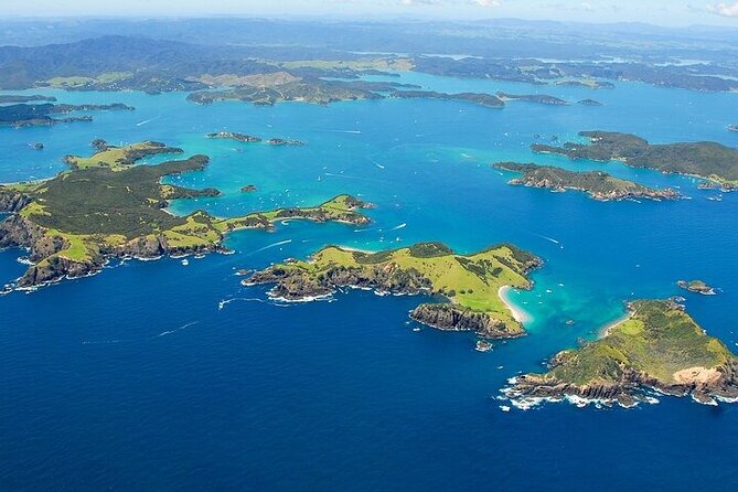 Bay of Islands Private Tour - What the private format changes