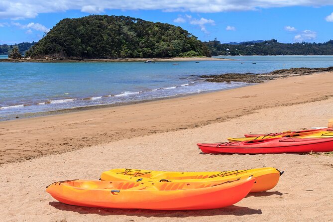 Bay of Islands Scenic Tour - Russell free time and getting back to Paihia