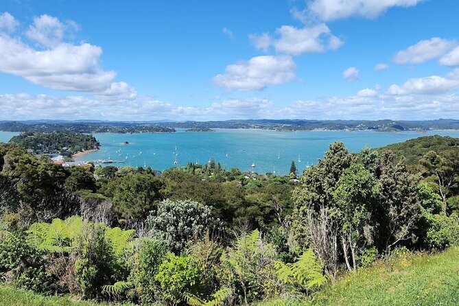 Bay of Islands Scenic Tour - Haruru Falls, a quick natural stop