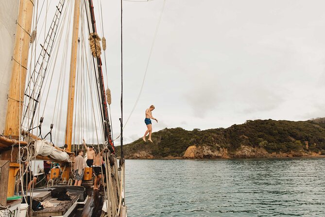 Bay of Islands Tall Ship Sailing on R. Tucker Thompson Including BBQ Lunch - How the $111.08 price compares in practical terms