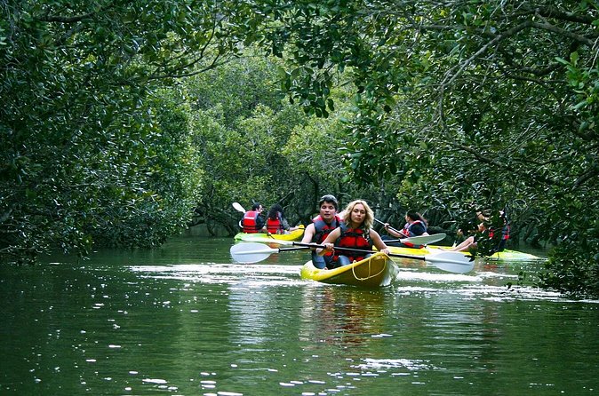 Bay of islands Waterfall Cruise Kayaking Tour - Guides, instruction, and the group pace