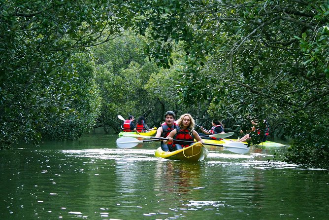 Bay of Islands Waterfall Explorer Kayaking Tour - Māori stories add meaning to the route
