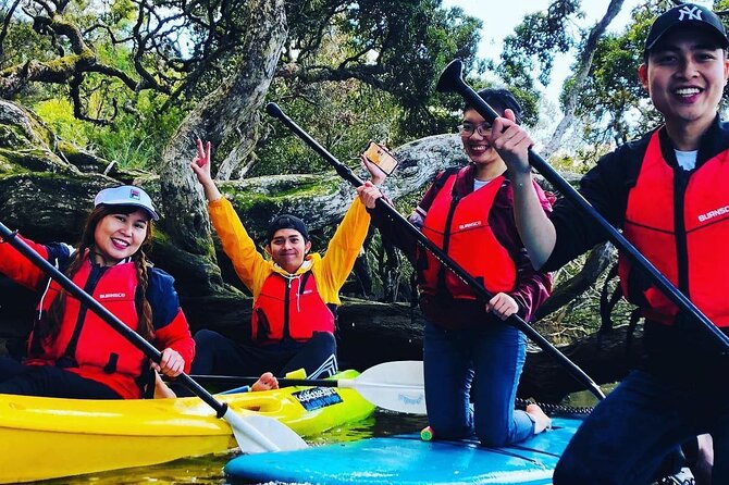 Bay of Islands Waterfall Explorer Kayaking Tour - Timing, weather, and cruise-ship planning