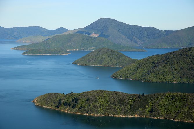 Bays and Bush Flight Scenic Tour - Who will enjoy this most?
