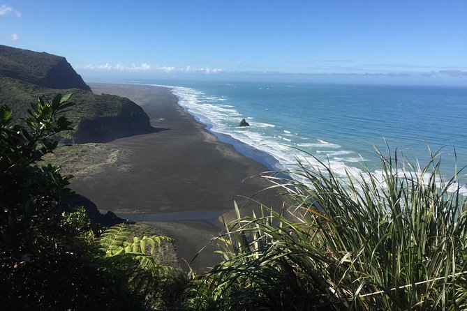 Beautiful Nature Tours Auckland - Private Tour - Rainforest walks, Piha, and black volcanic sand