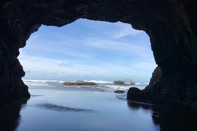 Beautiful Nature Tours Auckland - Private Tour - Who will enjoy this private West Coast outing?