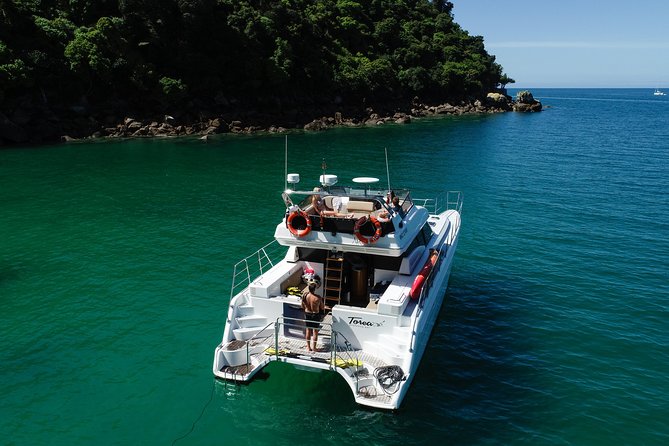 Best Abel Tasman Day trip - Quick points before you book