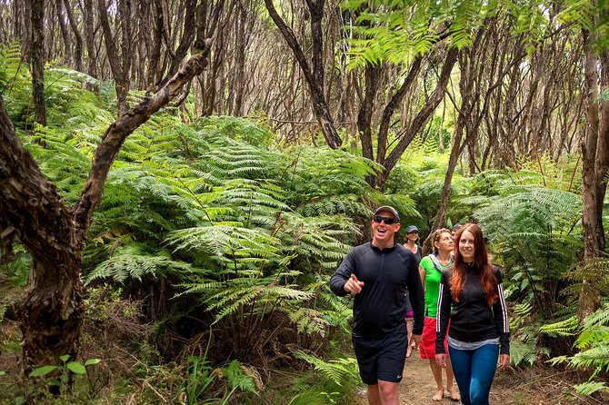 Best Abel Tasman Day trip - A short Abel Tasman walk at Pitt Head