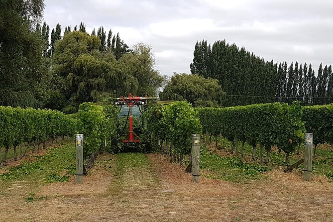 Beyond the Vines - Full-Day Marlborough Wine Tasting Tour - The Small Vehicle Keeps the Day Social
