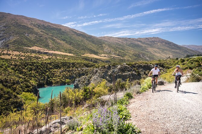 Bike The Wineries (1/2 Day) - Quick Pedal to Pinot - Who will enjoy this ride most?