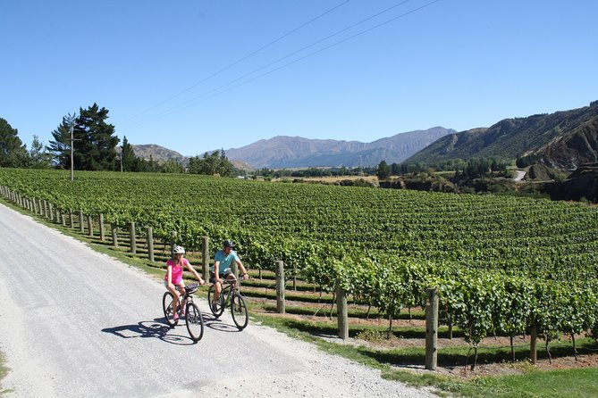 Bike The Wineries (3/4 Day) - Ride Through Queenstown Vineyards - Kinross for tasting, food, and a slower pause