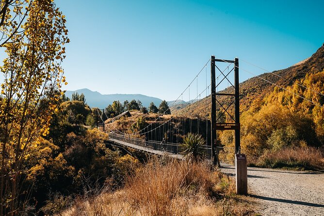 Bike & Wine Tour: Arrowtown to Valley of the Vines - Choosing between a Trek mountain bike and an e-bike