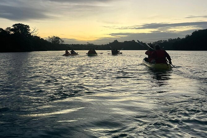 Bioluminescence Kayak Tour - Est. 1994 - Price, timing, and what you receive
