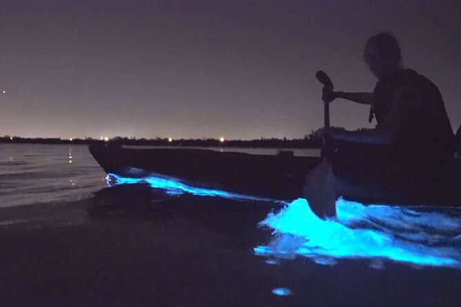 Bioluminescence Kayak Tour - Est. 1994 - Practical clothing and transport advice