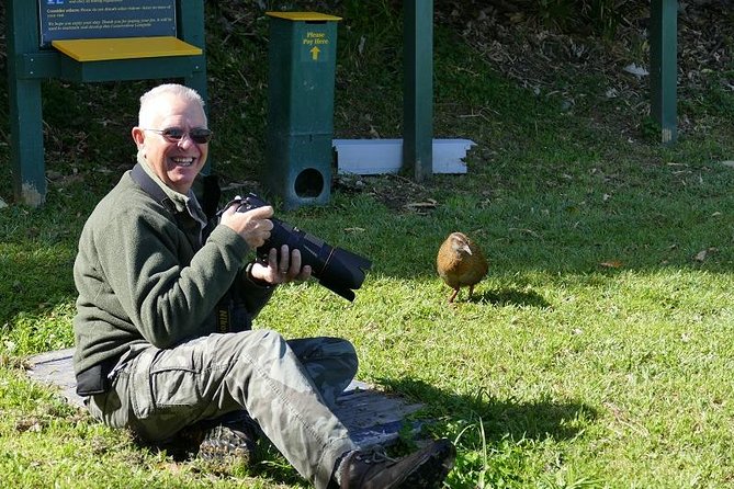 Bird Watching and Dolphin Eco-Tour to Blumine Island - Why this Picton wildlife trip is different